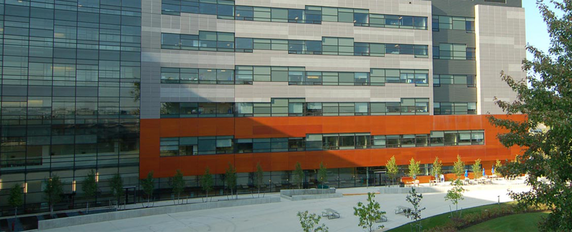Renovating Homes and Offices